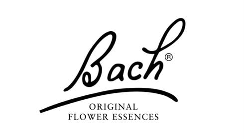 Bach