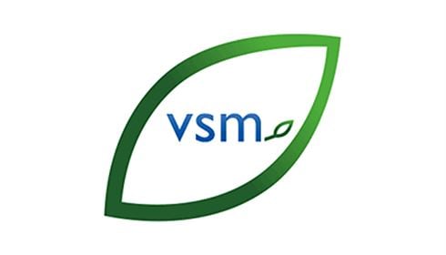 Vsm