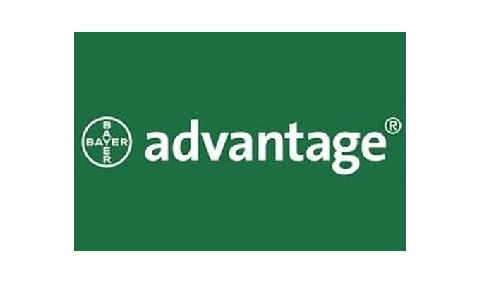 Advantage