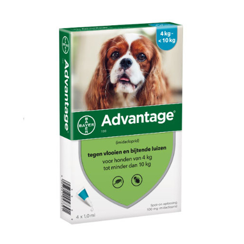 Image of Advantage Hond 100 Spot-On Anti-Vlooien 4-10kg 4x1,0ml 