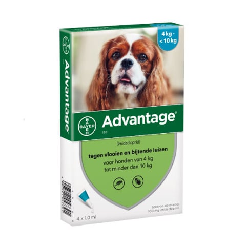 Image of Advantage Hond 100 Spot-On Anti-Vlooien 4-10kg 4x1,0ml