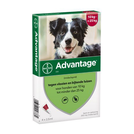 Image of Advantage Hond 250 Spot-On Anti-Vlooien 10-25kg 4x2,5ml 