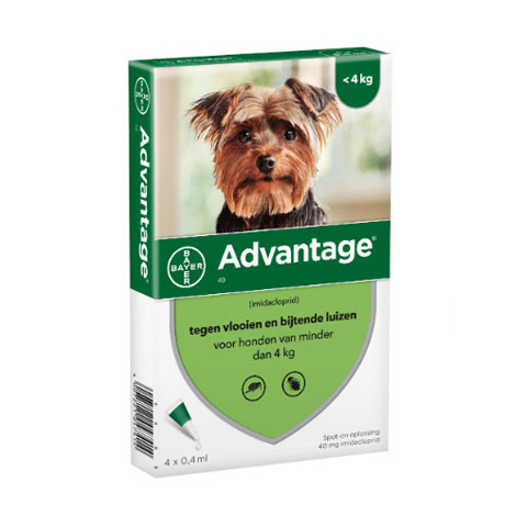 Image of Advantage Hond 40 Spot-On Anti-Vlooien <4kg 4x0,4ml 