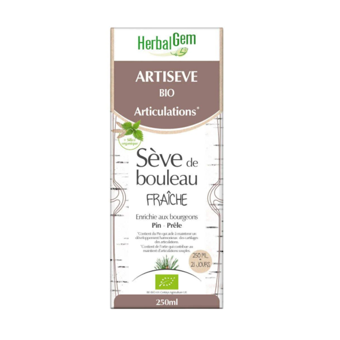 Image of HerbalGem Artiseve Maceraat 250ml 