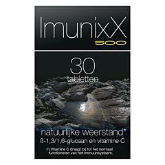 Imunixx 500 | 30 Tabletten