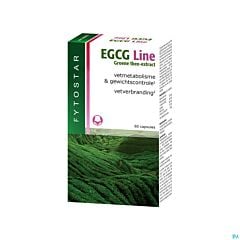 Fytostar EGCG Line 60 Gélules