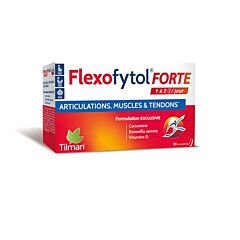 Flexofytol Forte - 28 Comprimés