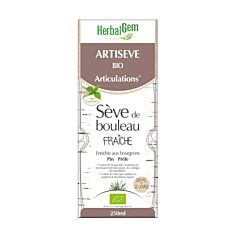 HerbalGem Artiseve Sève de Bouleau Fraîche Bio Flacon 250ml