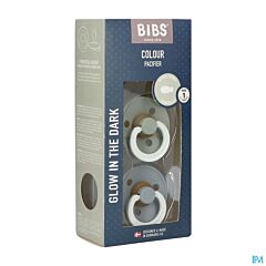 Bibs 1 Fopspeen Symmetric Glow Duo Sage/Cloud 2