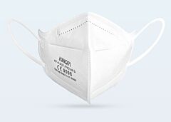 Masques Buccaux FFP2 Approuvés CE - 10 Pièces