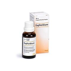 Heel Euphorbium Heel Comp. S Gouttes Flacon 30ml