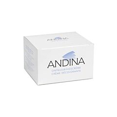 Andina Crème Décolorante 100ml + 15g Poudre