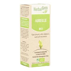 Herbalgem Airelle Macérat Flacon Compte Gouttes 15ml