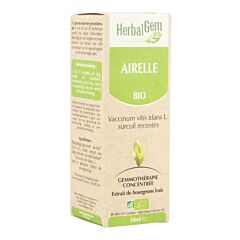 Herbalgem Airelle Macérat Flacon Compte Gouttes 50ml