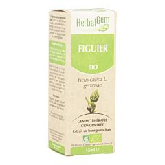 Herbalgem Figuier Macérat Flacon Compte Gouttes 15ml