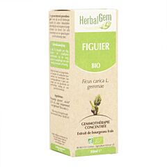 Herbalgem Figuier Macérat Flacon Compte Gouttes 50ml