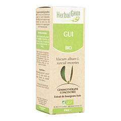 Herbalgem Gui Macérat Flacon Compte Gouttes 50ml