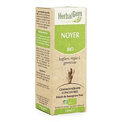 Herbalgem Noyer Macérat Flacon Compte Gouttes 15ml