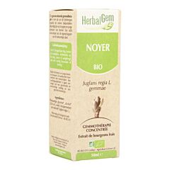 Herbalgem Noyer Macérat Flacon Compte Gouttes 50ml