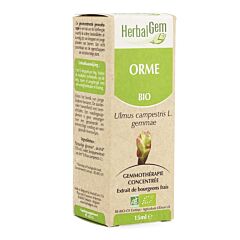 Herbalgem Orme Macérat Flacon Compte Gouttes 15ml