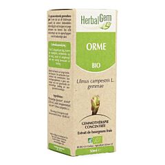 Herbalgem Orme Macérat Flacon Compte Gouttes 50ml