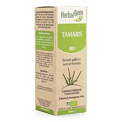 Herbalgem Tamaris Macérat Flacon Compte Gouttes 50ml