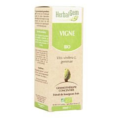 Herbalgem Vigne Macérat Flacon Compte Gouttes 50ml