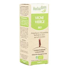 Herbalgem Vigne Vierge Macérat Flacon Compte Gouttes 15ml