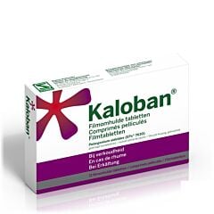 Kaloban 21 Comprimés Pelliculés