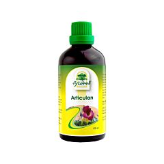 Fytobell Articulan Flacon 100ml