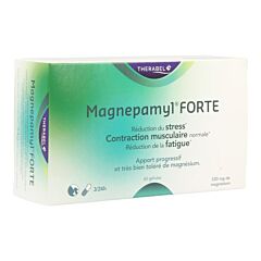 Magnepamyl Forte 60 Gélules