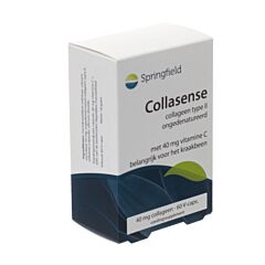 Springfield Collasense 60 Gélules