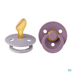 Bibs 2 Fopspeen Anatomic Duo Fossil/Mauve