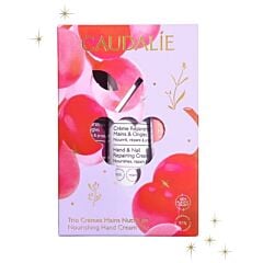 Caudalie Coffret Cadeau Trio Crèmes Mains 2025 3 Produits