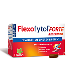 Flexofytol Forte - 28 Tabletten