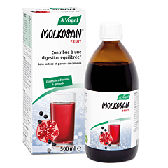 A. Vogel Molkosan Fruit - 500ml