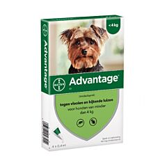 Advantage Dog Spot-On 40 Chiens 