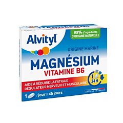 Alvityl Magnésium Vitamine B6 45 Comprimés