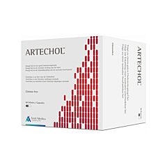 Artechol 90 Gélules NF