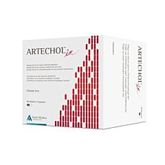 Artechol In 90 Capsules