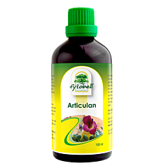 Fytobell Articulan Flacon 100ml