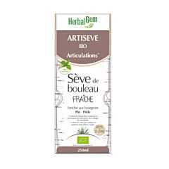 HerbalGem Artiseve Maceraat 250ml