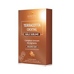Biocyte Terracotta Autobronzant Hâle Sublimé Sans Soleil 30 Gélules