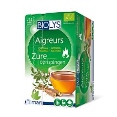 Biolys Aigreurs Tisane Curcuma Réglisse 24 Infusions