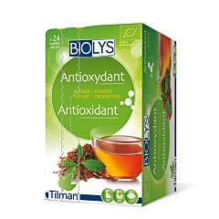 Biolys Antioxydant Tisane Rooibos Thé Vert 24 Infusions