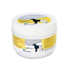 Caniquin soft chews 60