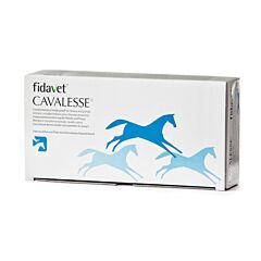 Cavalesse Paarden Oraal Poeder 3x20g