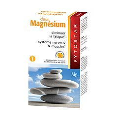 Fytostar Chew Magnesium 45 Comprimés à Croquer