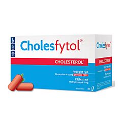 Cholesfytol 84 Tabletten