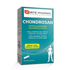 Forté Pharma Chondrosan Articulations 30 Gélules